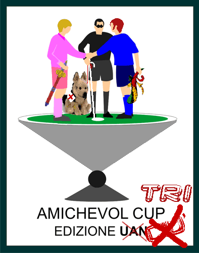 Amichevol Cup 3